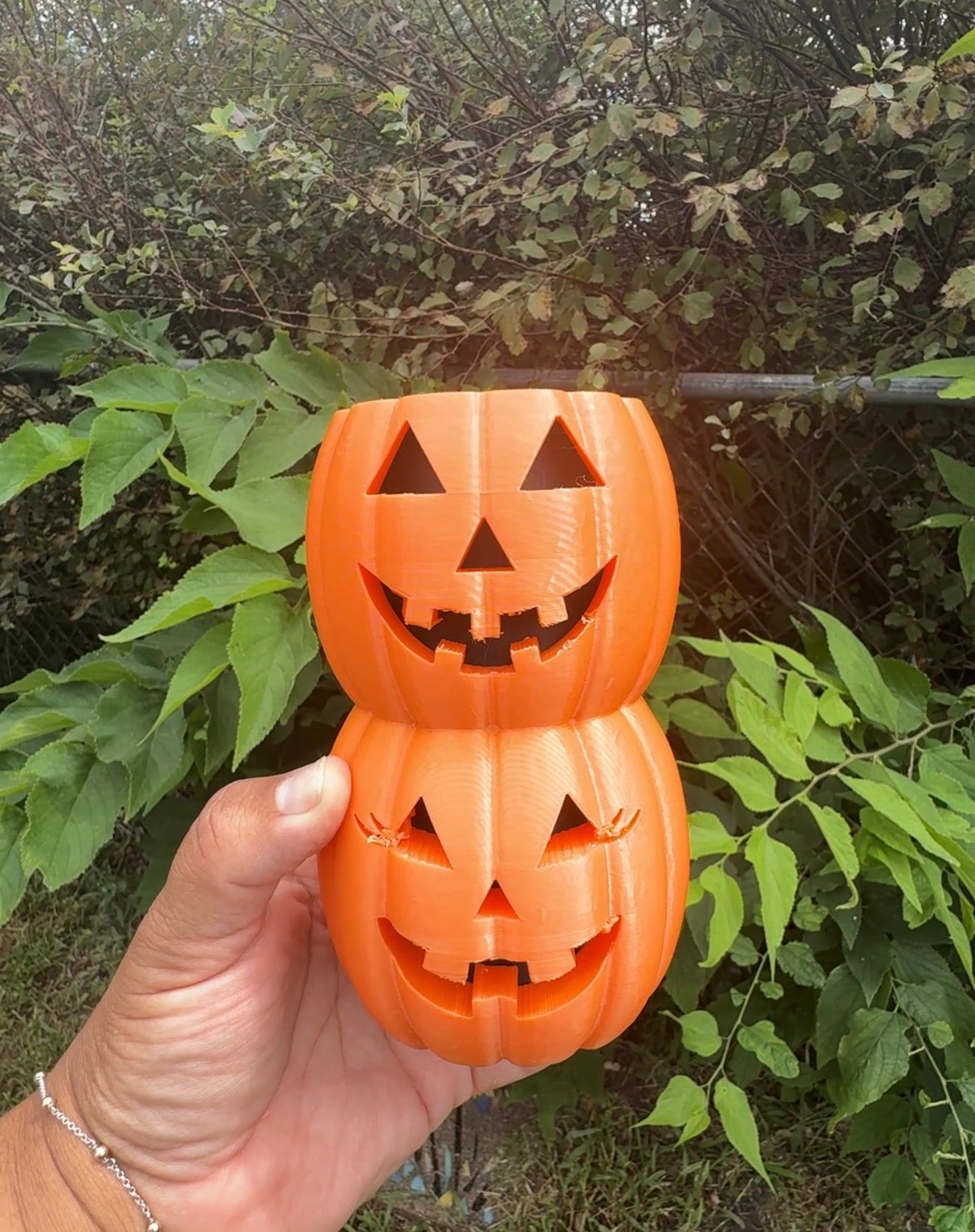 Pumpkin (you can choose color) (Copy)