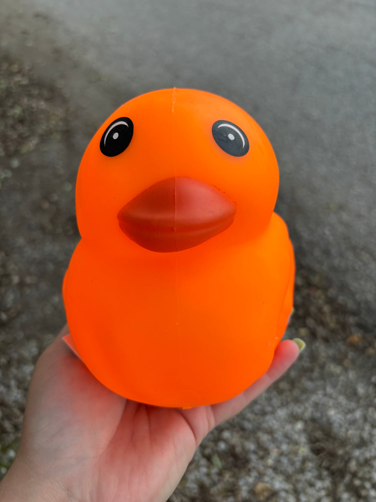 Orange Duck
