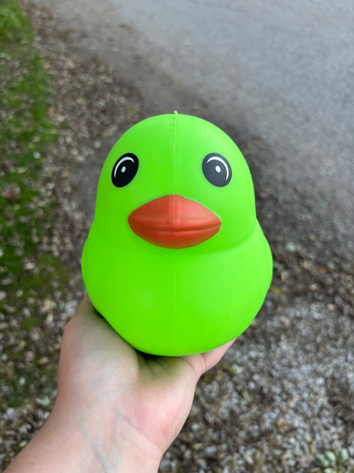 Green Duck