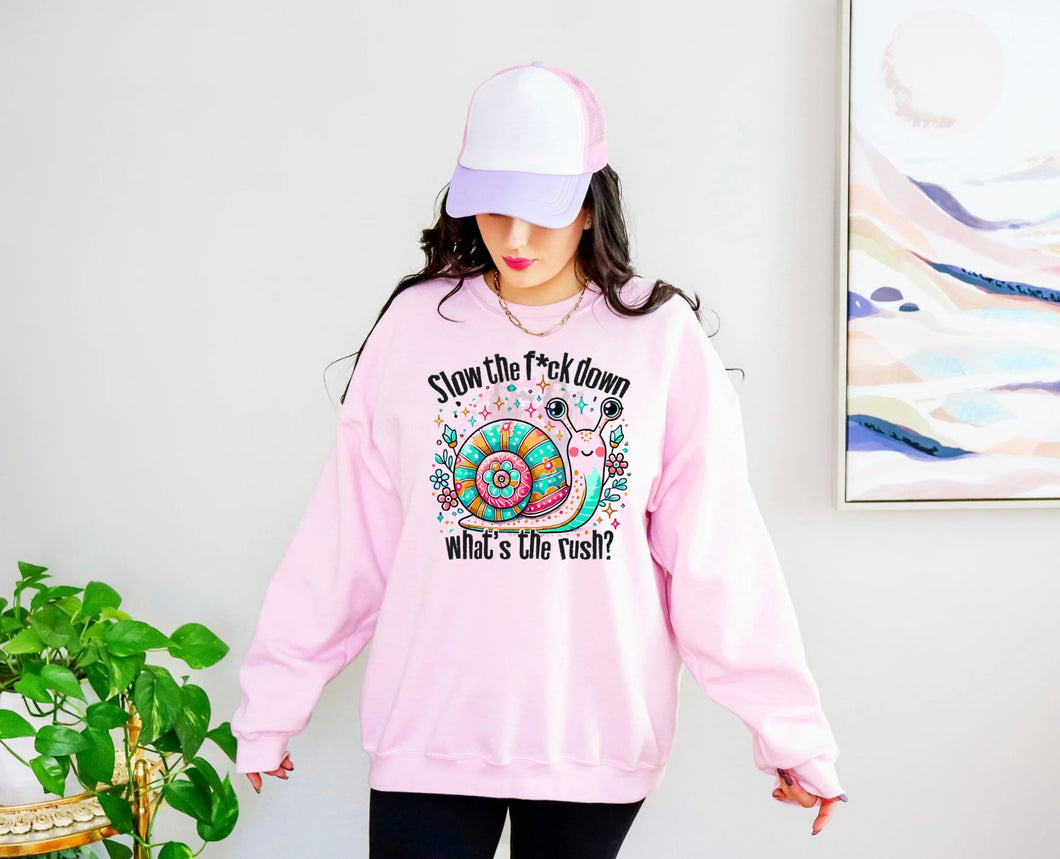 Slow the F down (DTF TRANSFER)