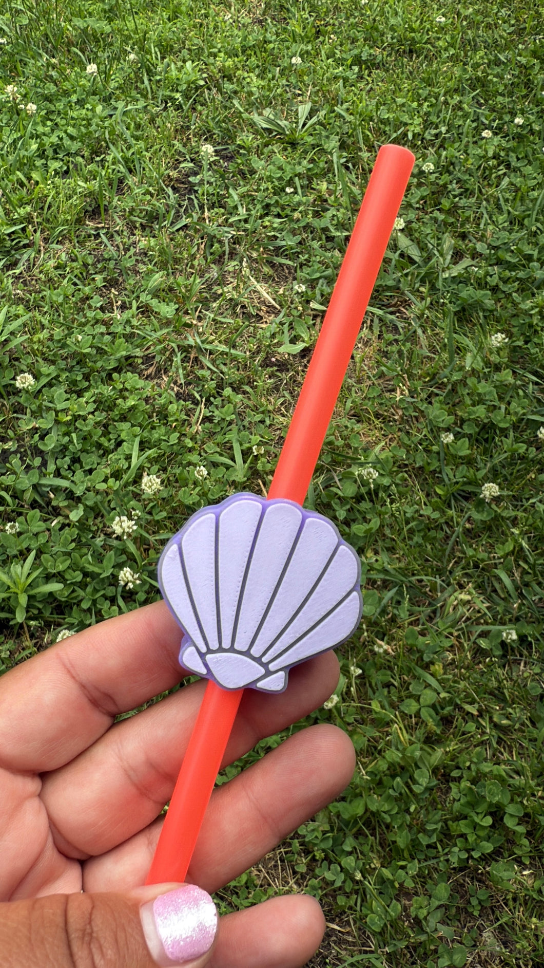 Purple Sea Shell