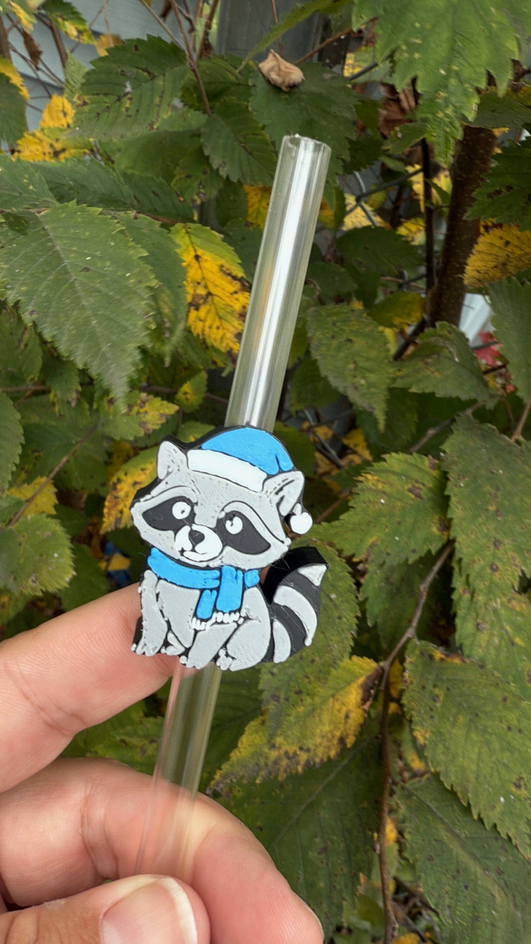 Snow raccoon
