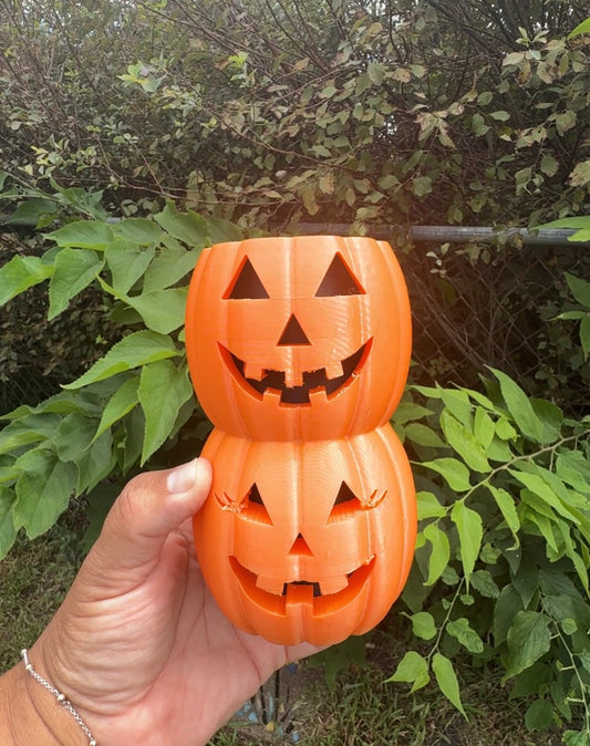 Pumpkin  (choose your color & can size leave in notes at checkout)