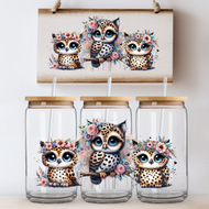 Pretty Owls