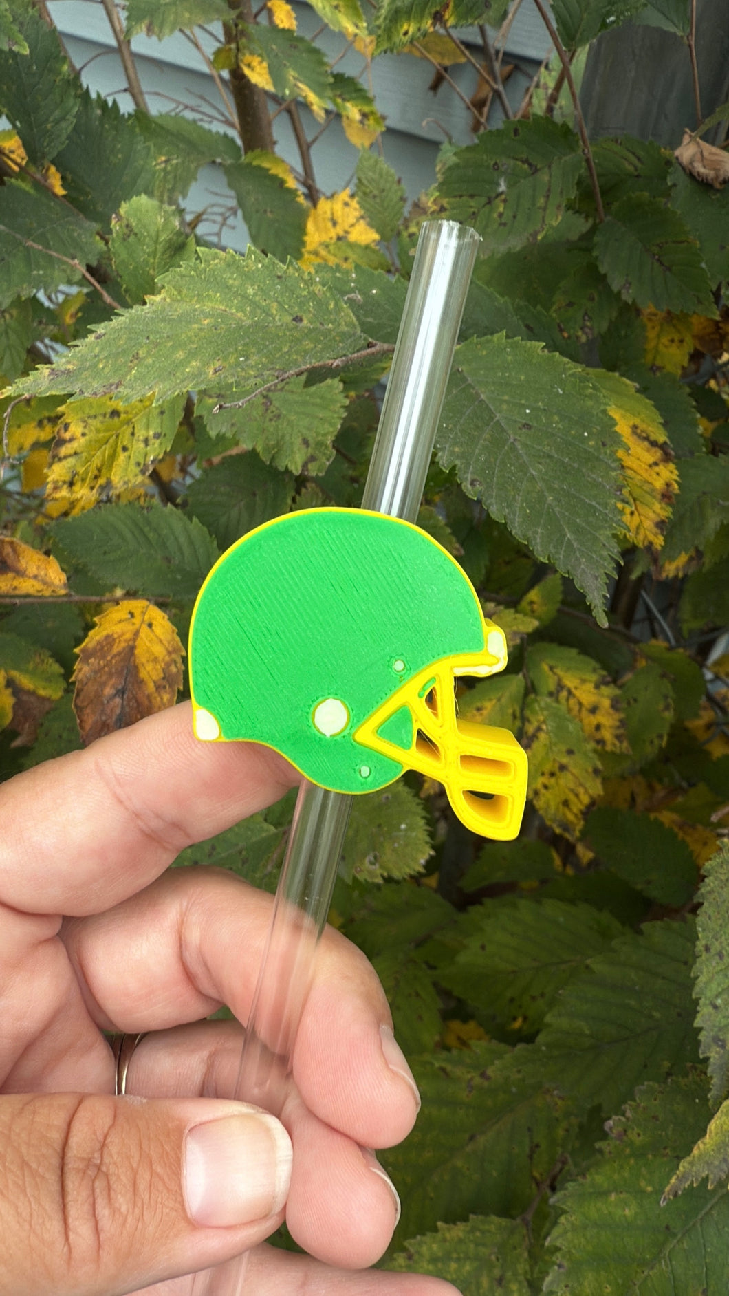 Pac Helmet