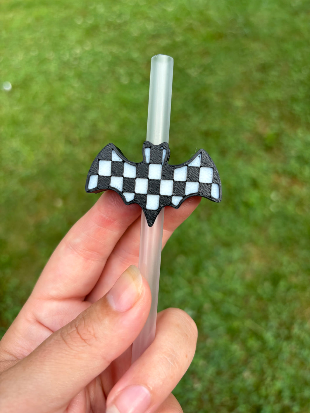 Checkered Bat