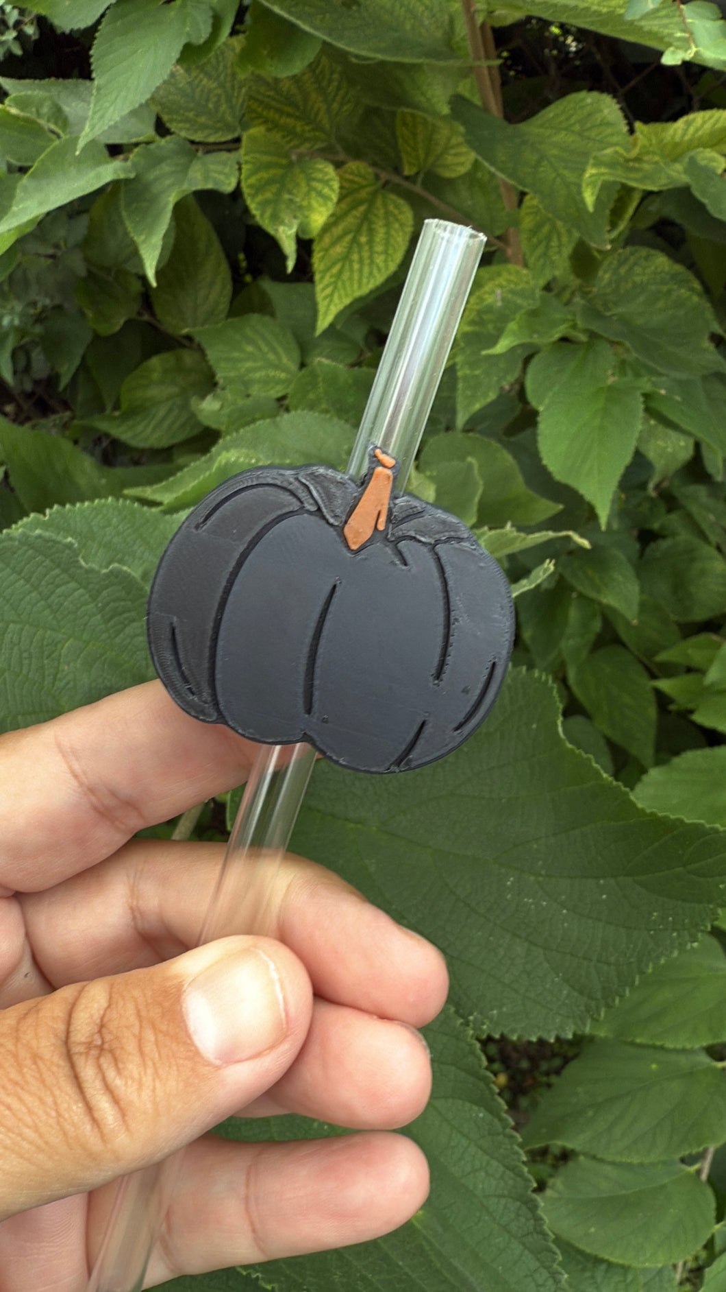 Black Pumpkin