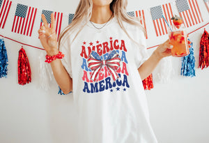 America (DTF TRANSFER)